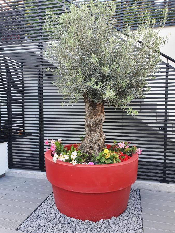 Visioni Lake View Boutique Rooms & Breakfast - Adults Friendly Riva del Garda Eksteriør billede